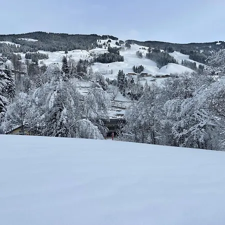 Appartement Chalet Saalbach アパート *